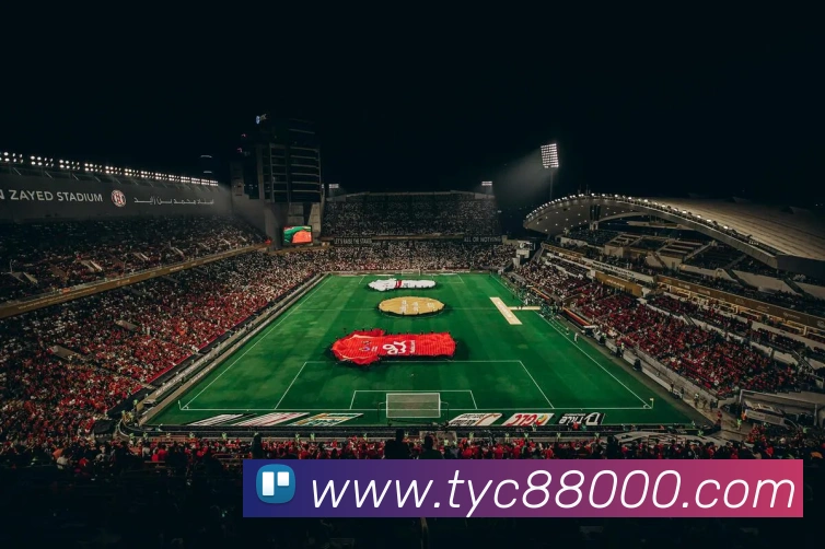 太阳城娱乐平台平台生态图