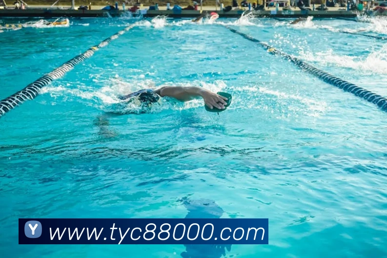 太阳城娱乐平台APP 封面图